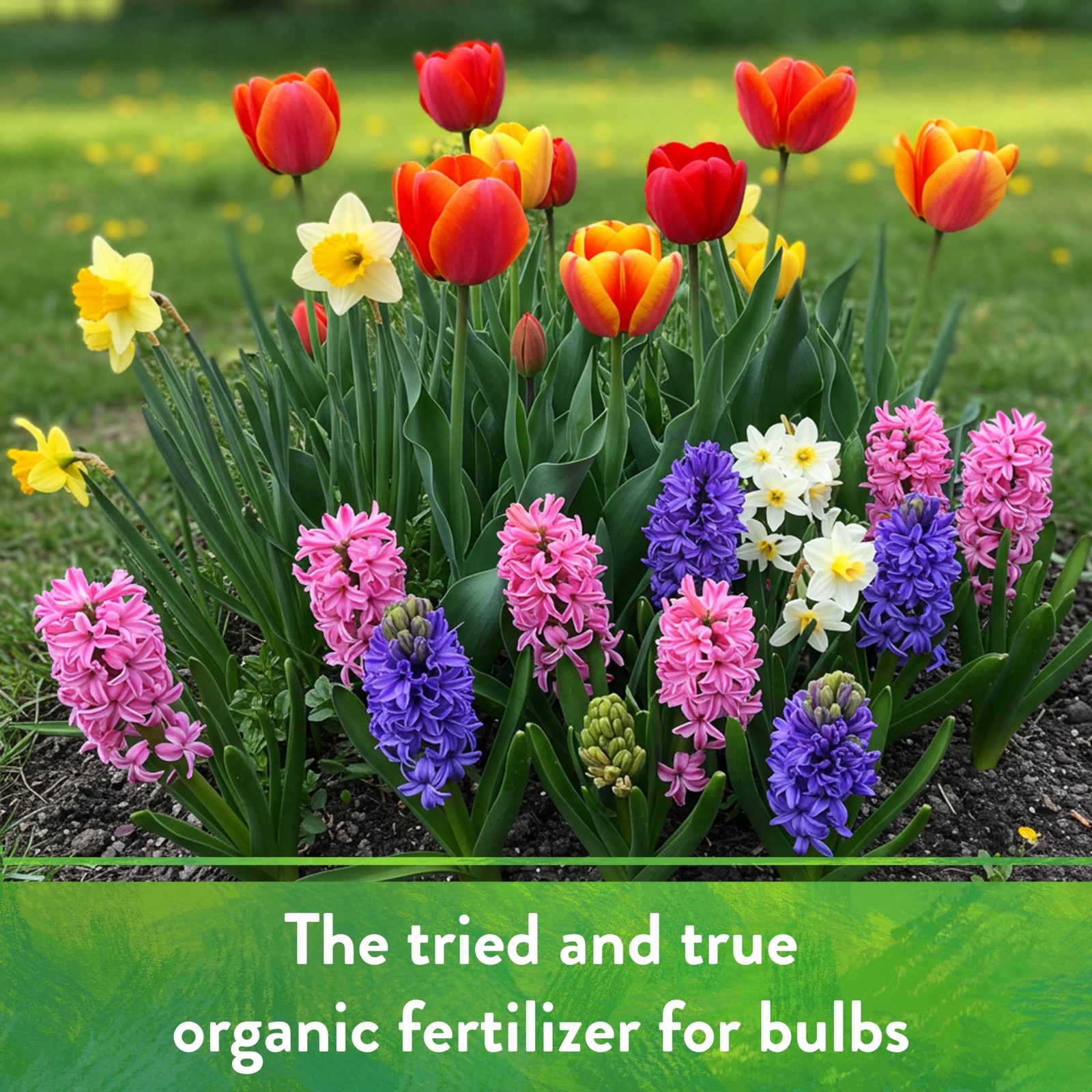 Organic Bone Meal – High Phosphorus Plant Food for Buds, Bulbs, Blooms, Flowe…