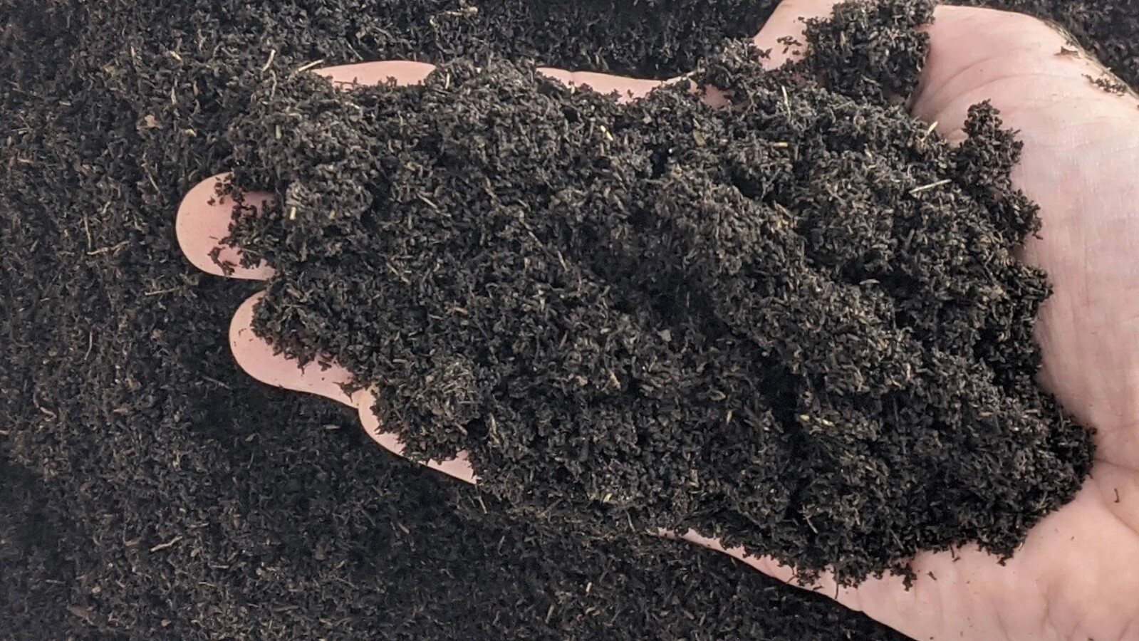 Premium Worm Castings 1.5 lbs – NO FILLERS! | Fast Shipping | Healthy Soil