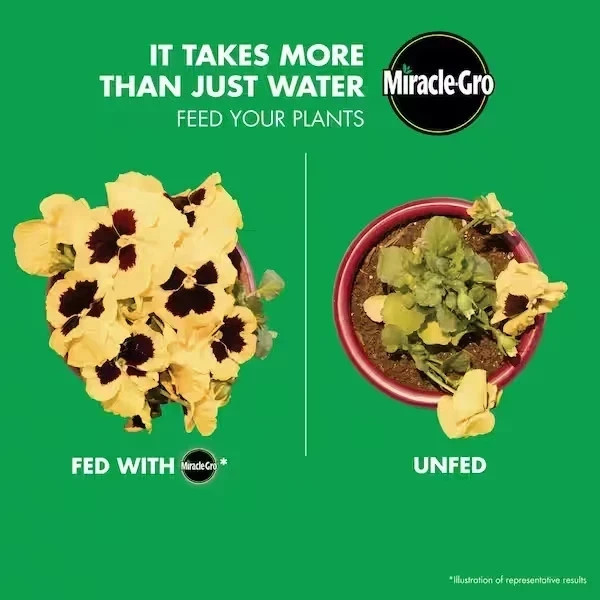 Miracle-Gro Liquafeed All Purpose Plant Food Refill, 16oz, 4-Pack, Lot of 2