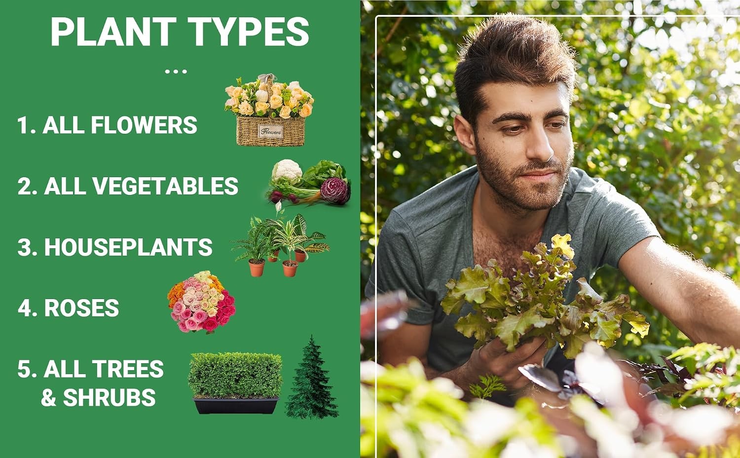 6-6-6 All-Purpose Professional Plant Food Fertilizer Ideal for Winter Care