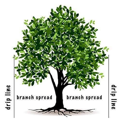 (2) pk Ross 14266 36 pack Evergreen Acid Root Feeder Fertilizer Refill Cartridge