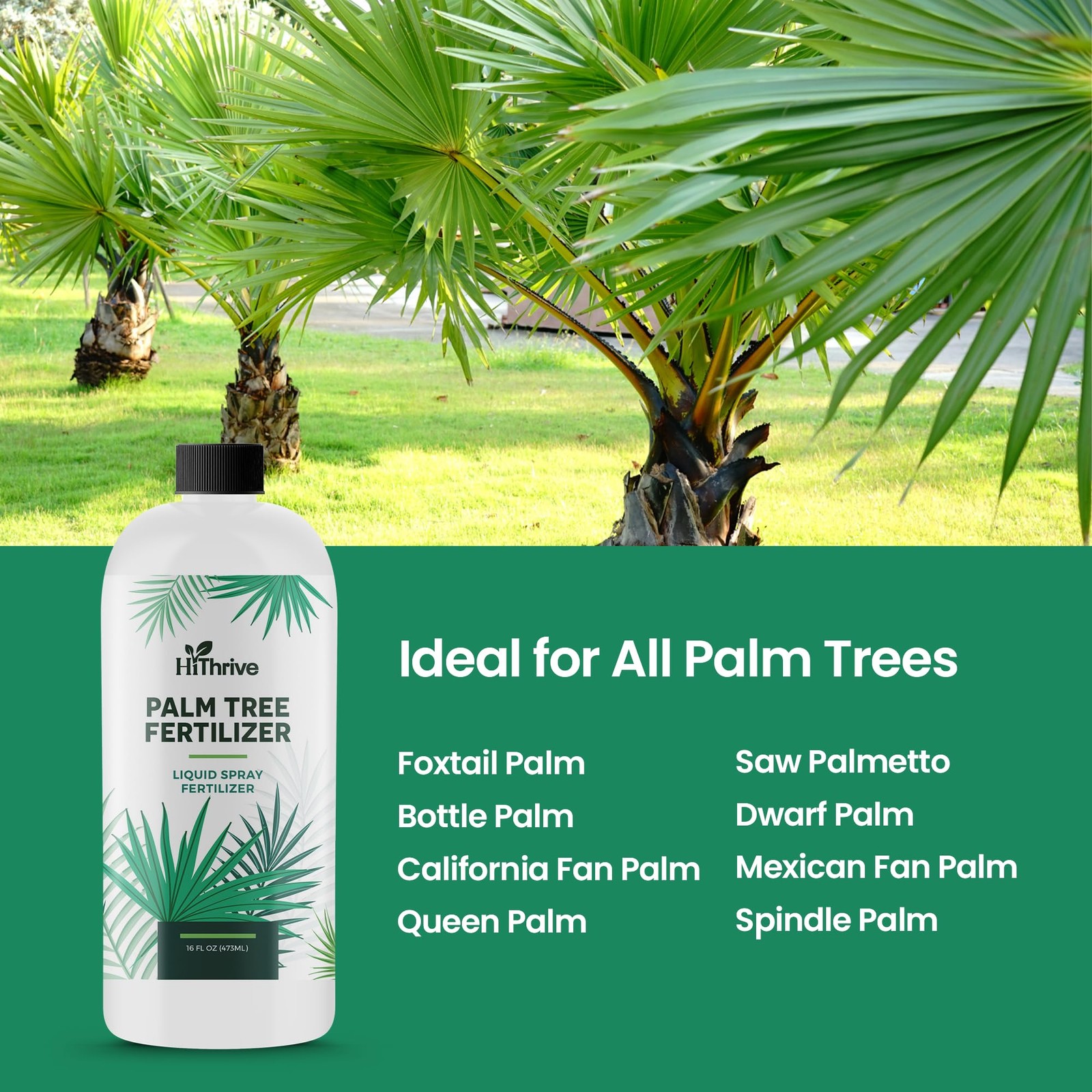 Palm Tree Fertilizer – 16oz Plant Food for Tree. Rich in 16 oz (1 Pint)