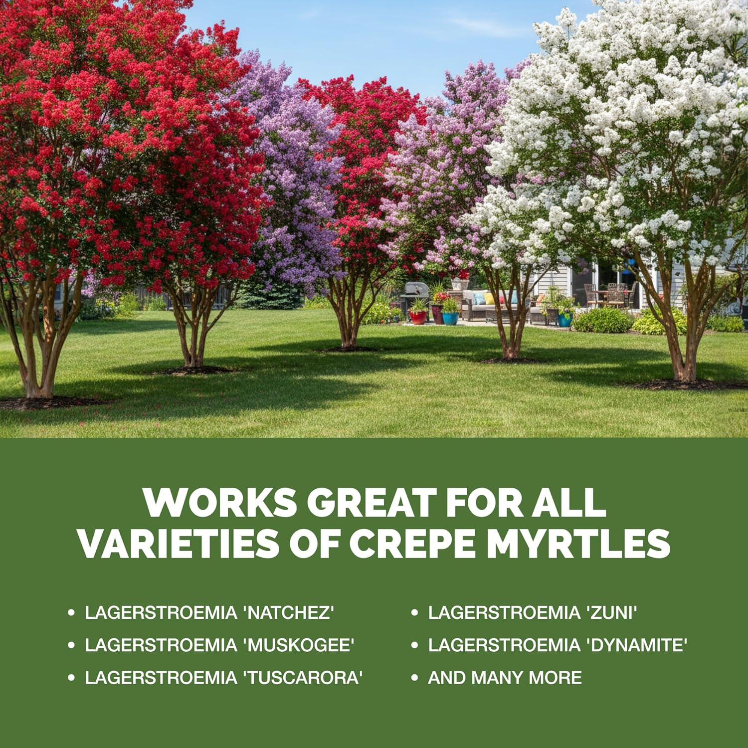 Crepe Myrtle Fertilizer – Liquid Plant Food for More Blooms, Vibrant Color Healt