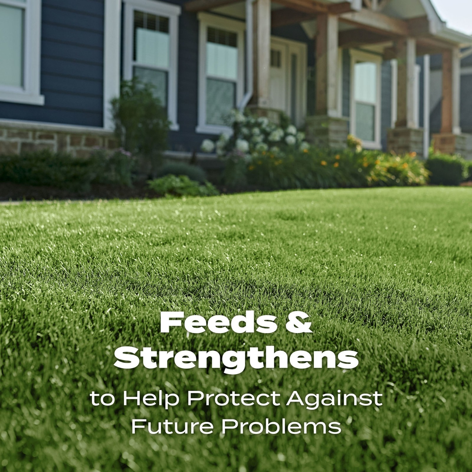 HOT DEAL 2026 Scotts Turf Builder Lawn Fertilizer, 15,000 sq. ft., 37.50 lbs.