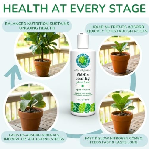 Liquid Fertilizer 8 oz 3-1-2 NPK for Ficus Lyrata Audrey Plant Food Nourishment