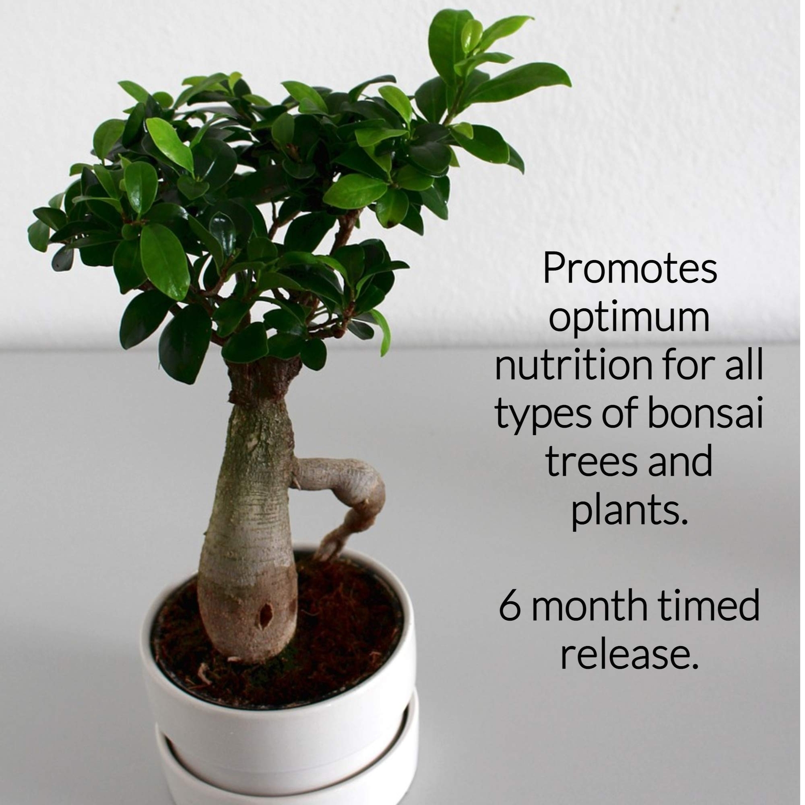 Leaves and Soul Bonsai Fertilizer Pellets |18-6-8 Slow Release Pellets for Se…