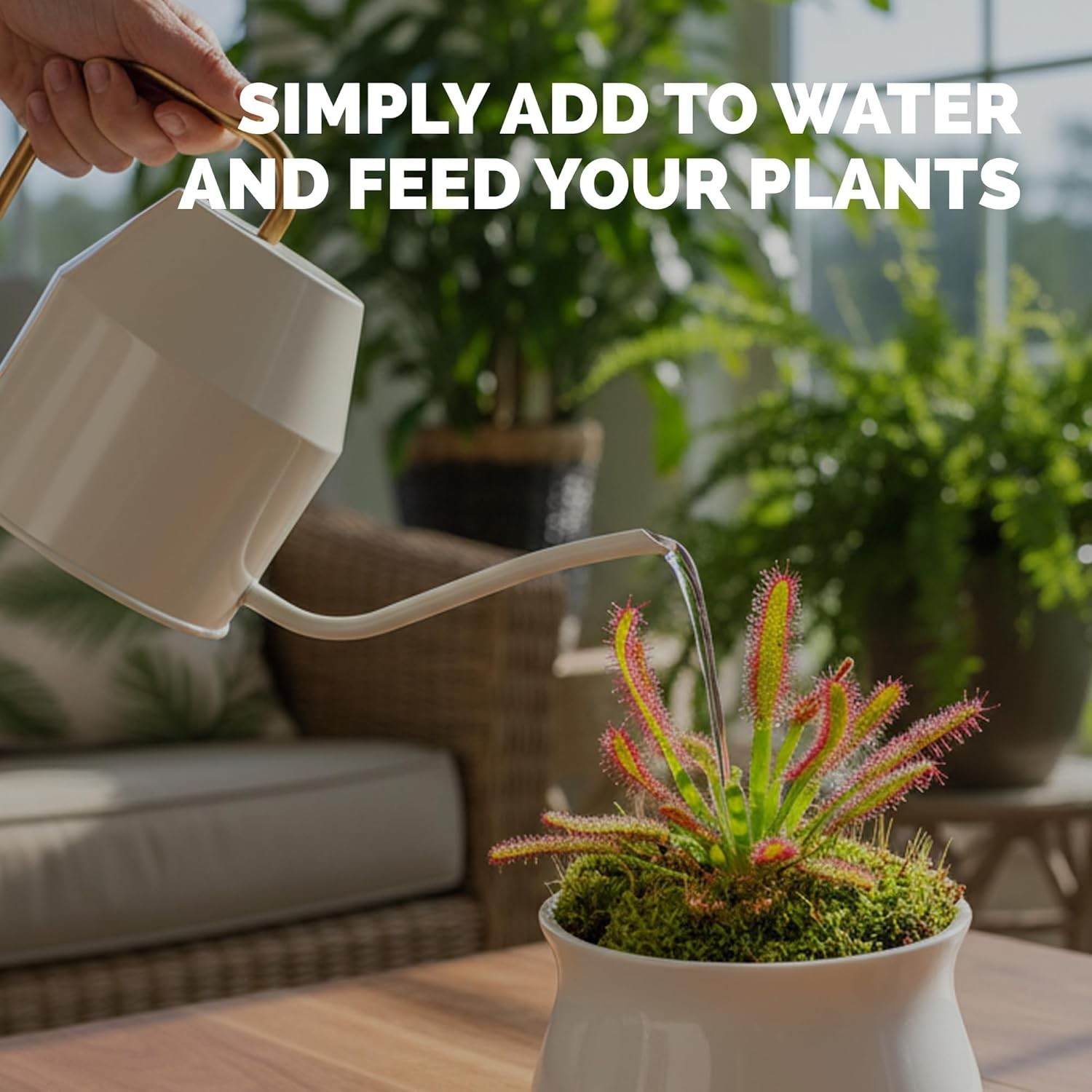 Carnivorous Plant Fertilizer – Gentle Liquid Formula for Healthy Traps & Vibrant