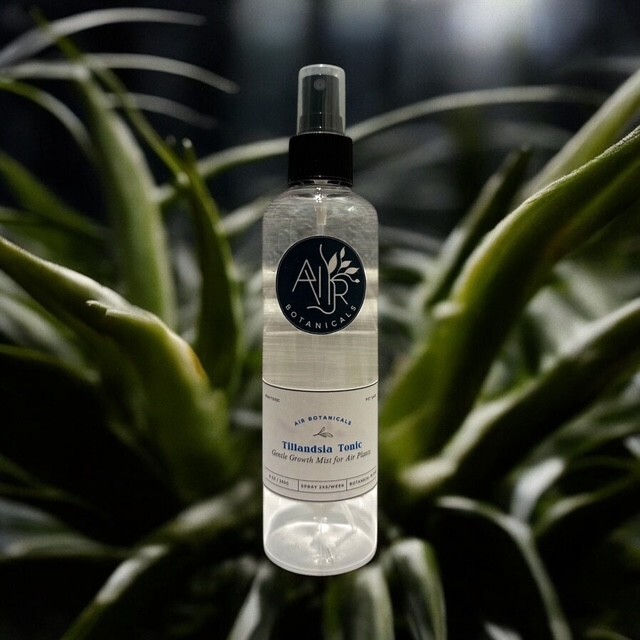 Air Plant Food Mist, Grow Tillandsia faster, air plant Fertilizer, Plant Grow