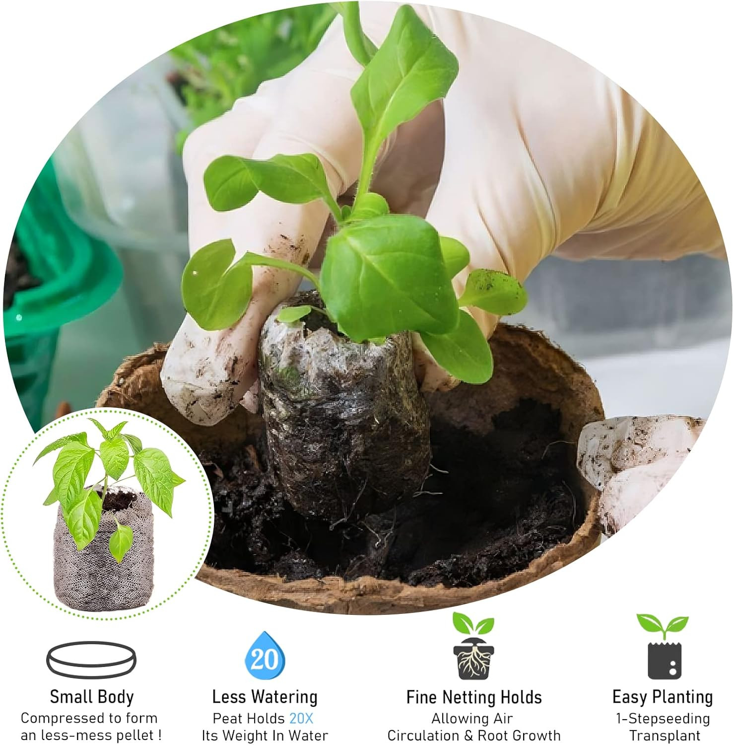 100 Pcs 40mm Seed Starter Peat Pellets Pods for Seeds, Plants, Herbs, Veggies