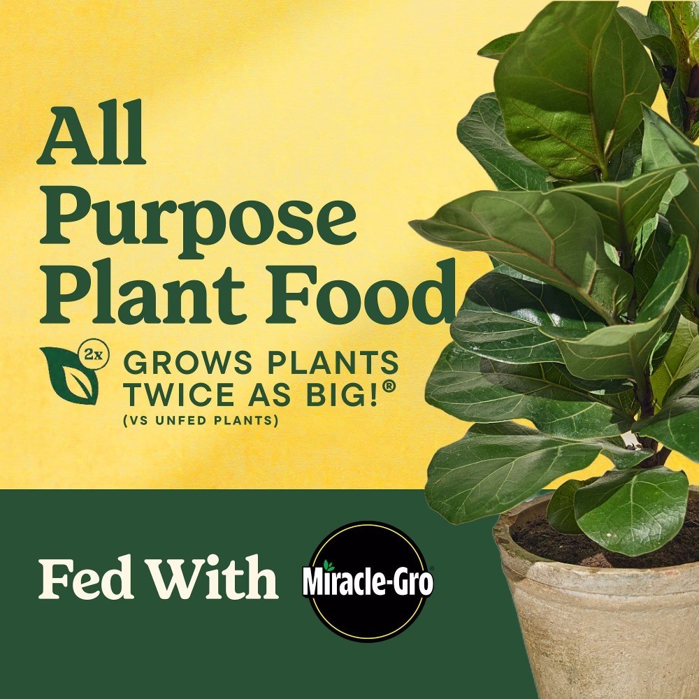 Liquafeed All Purpose Plant Food Refill, 16 oz., 4-Pack