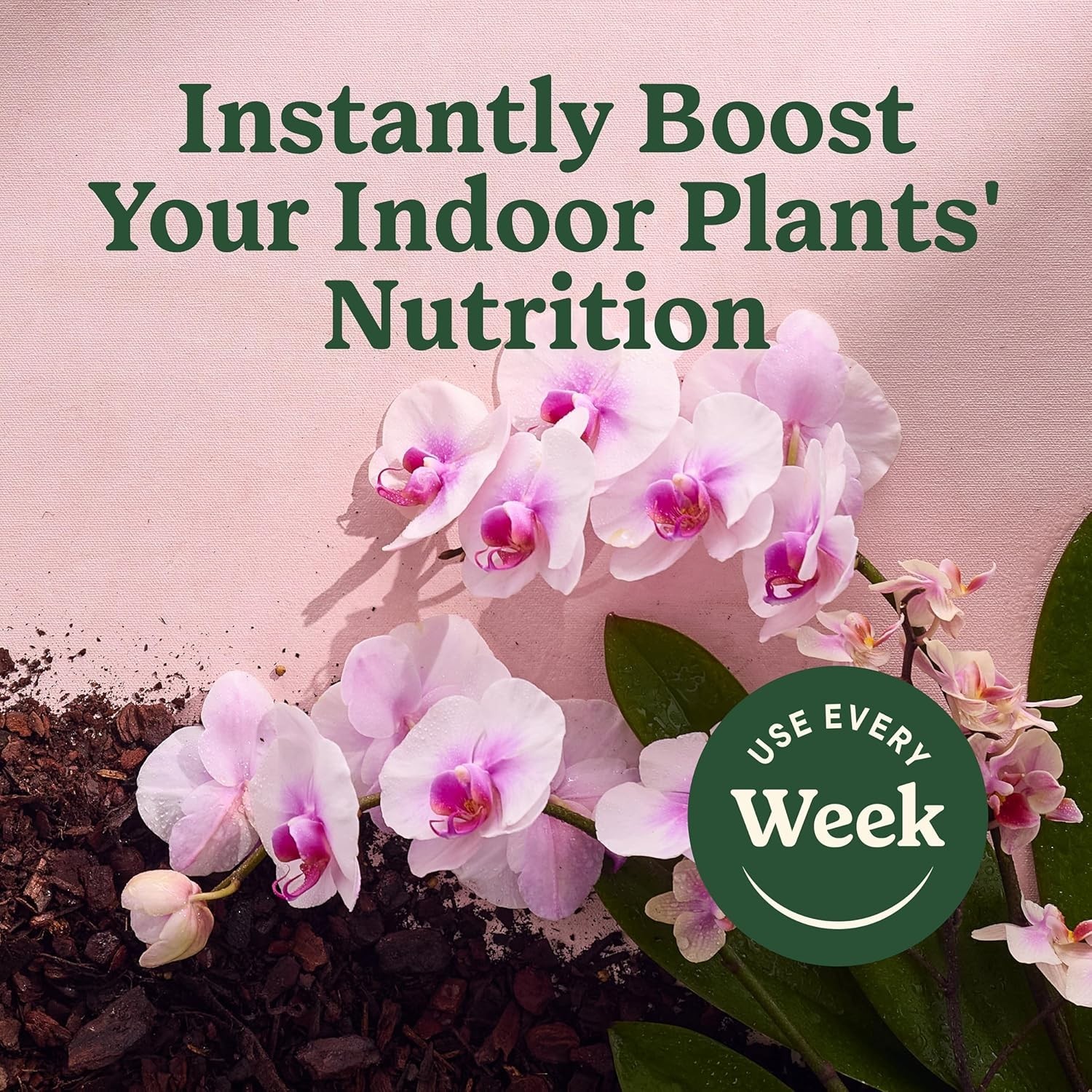 Indoor Plant Food Mist Orchids Orchid Plant Food 8 fl. oz. 2-Pack