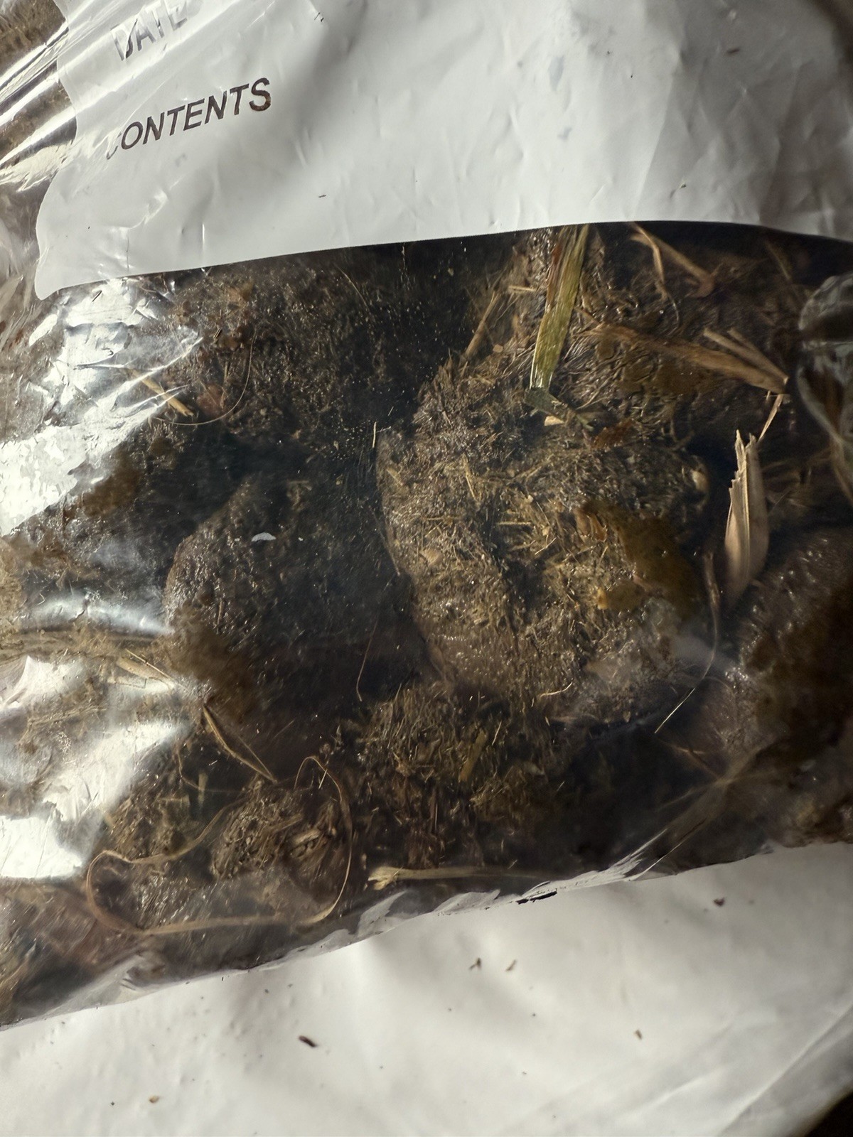 Fresh Horse Manure Organic Gardening Fertilizer 5 Pounds