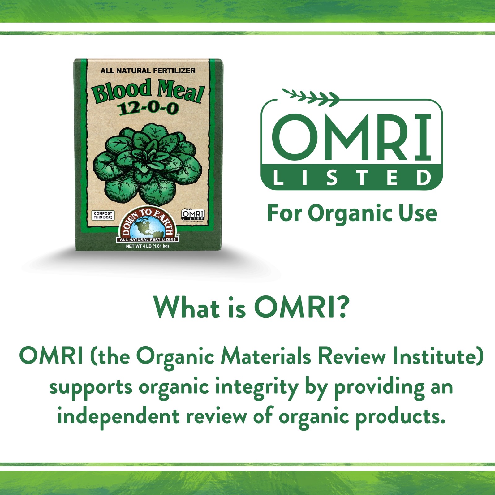 Down to Earth (#DTE02756) Organic Blood Meal Fertilizer Mix, 12-0-0, 20 lb
