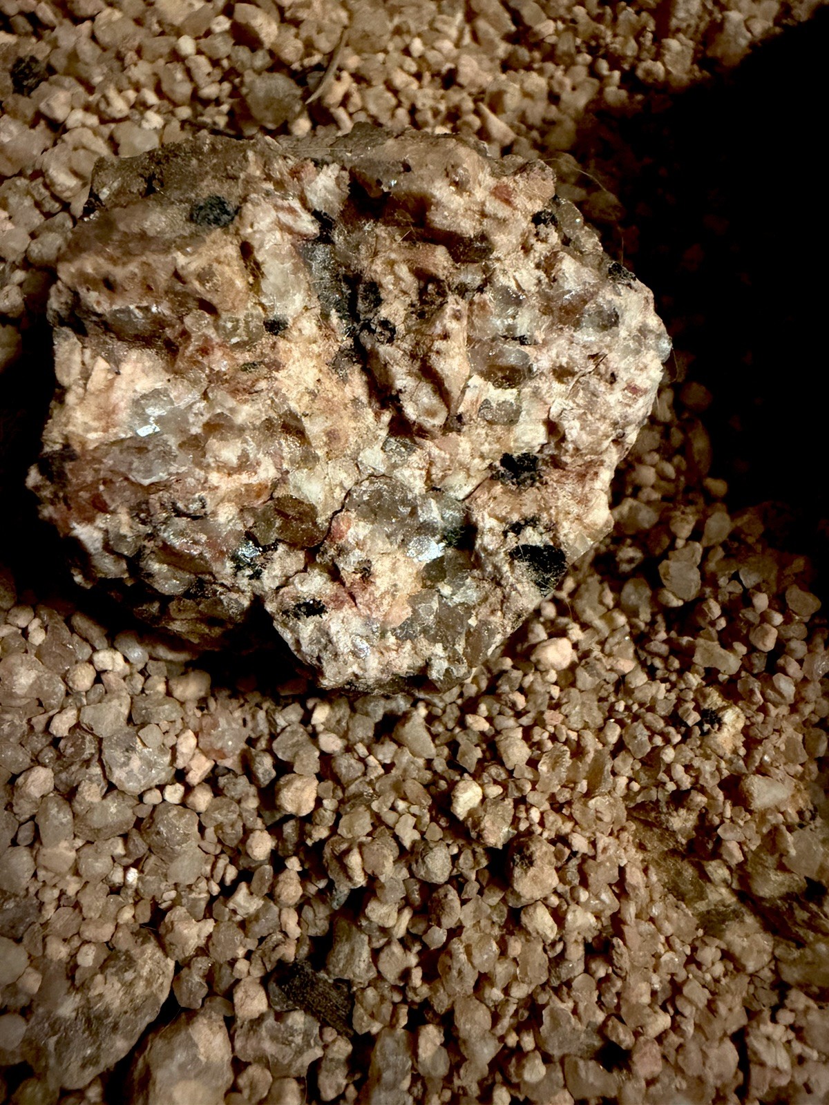Crushed Rock For Cacti Mountain Cactus Raw Host Rock For Native Spps Blend 3LB