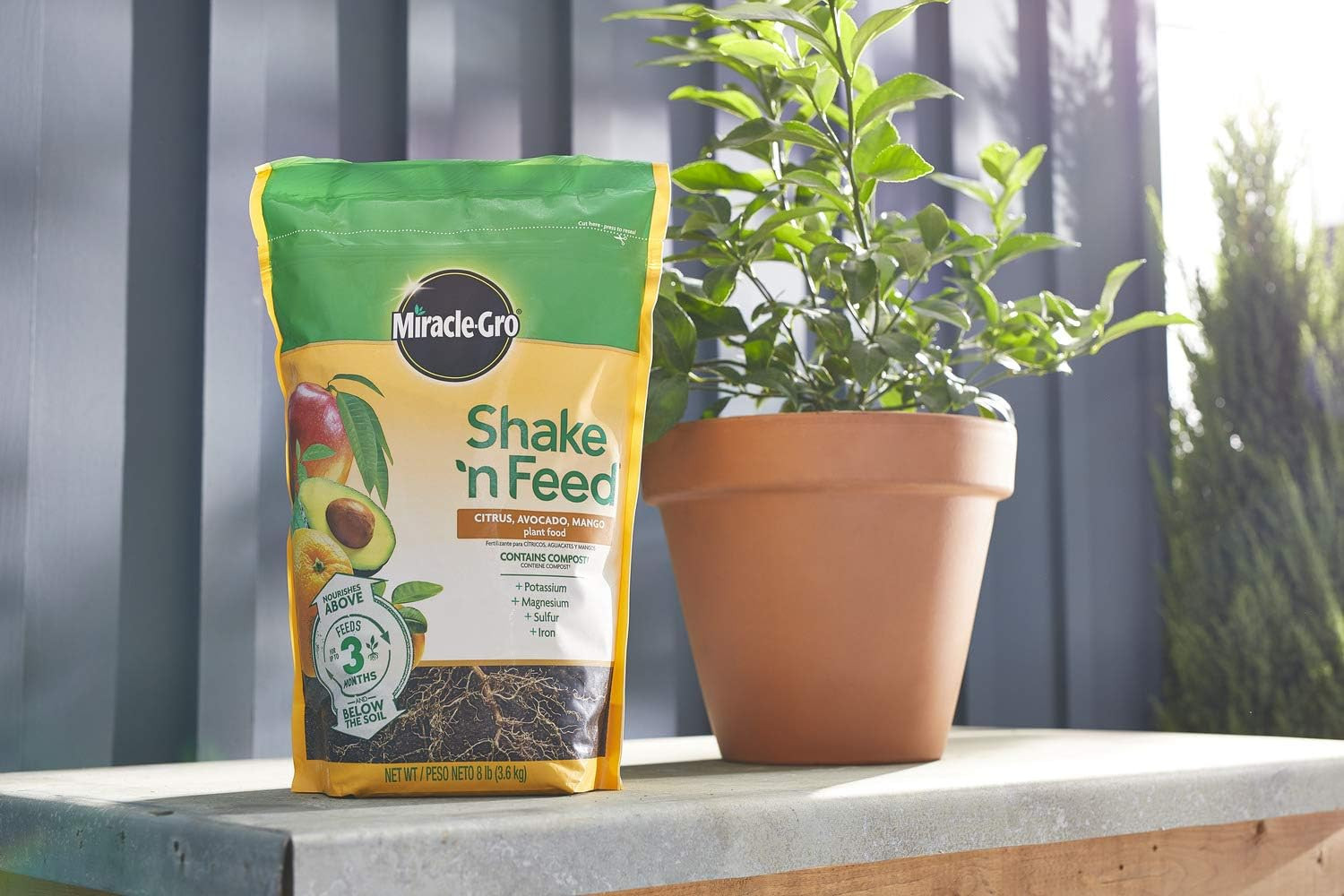 Shake ‘N Feed Citrus, Avocado and Mango Plant Food 8 Lbs.