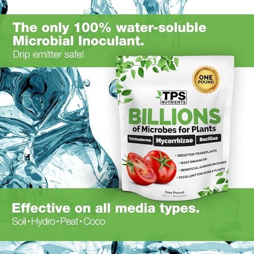 Mycorrhizal Fungi Root Inoculant – Water-Soluble Plant Booster, 8 oz – Fungi & B