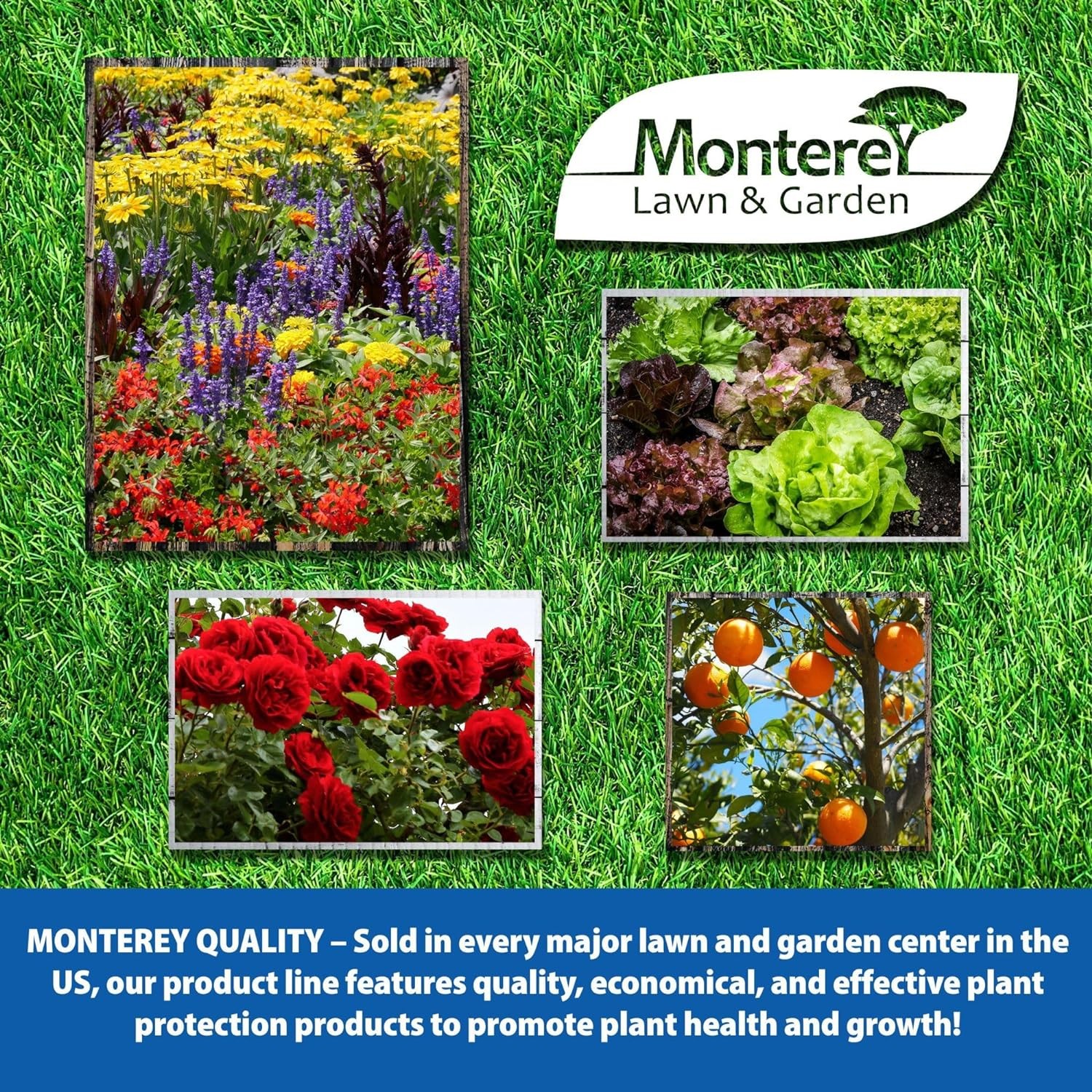 Monterey Iron Combo 1-0-2 Fertilizer, 32oz Concentrate