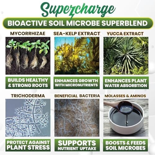 Mycorrhizal Fungi with Beneficial Bacteria, Trichoderma, Sea Kelp, Molasses, …