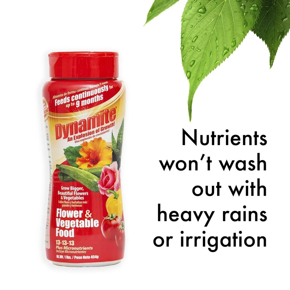 Dynamite 1 lb. All-Purpose Flower and Vegetables Plant Food