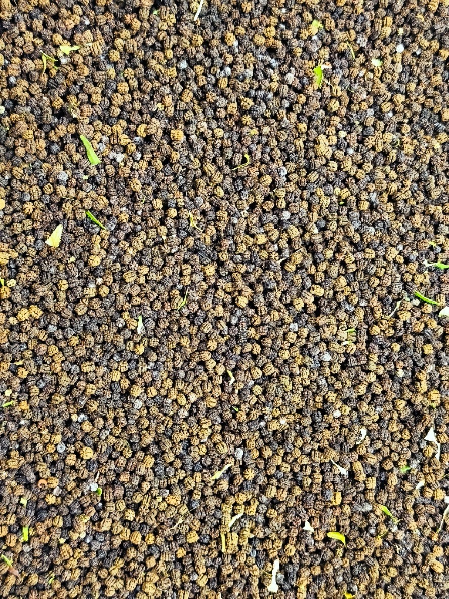 Caterpillar manure – a safe ORGANIC FERTILIZER. Insect farm produce. Pack 1 oz.