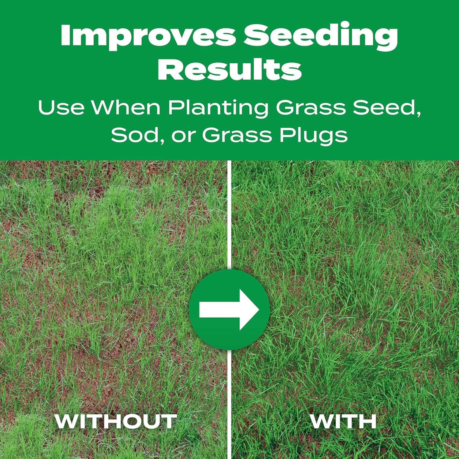 Turf Builder Starter Food for New Grass, 3 lb – Covers 1,000 sq. ft. Therapy