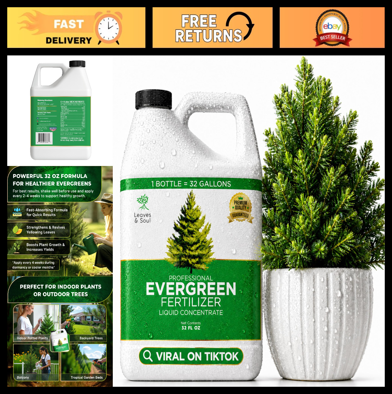 Evergreen Tree Fertilizer 6-4-6 Liquid Plant Food 32 oz for Healthy Growth