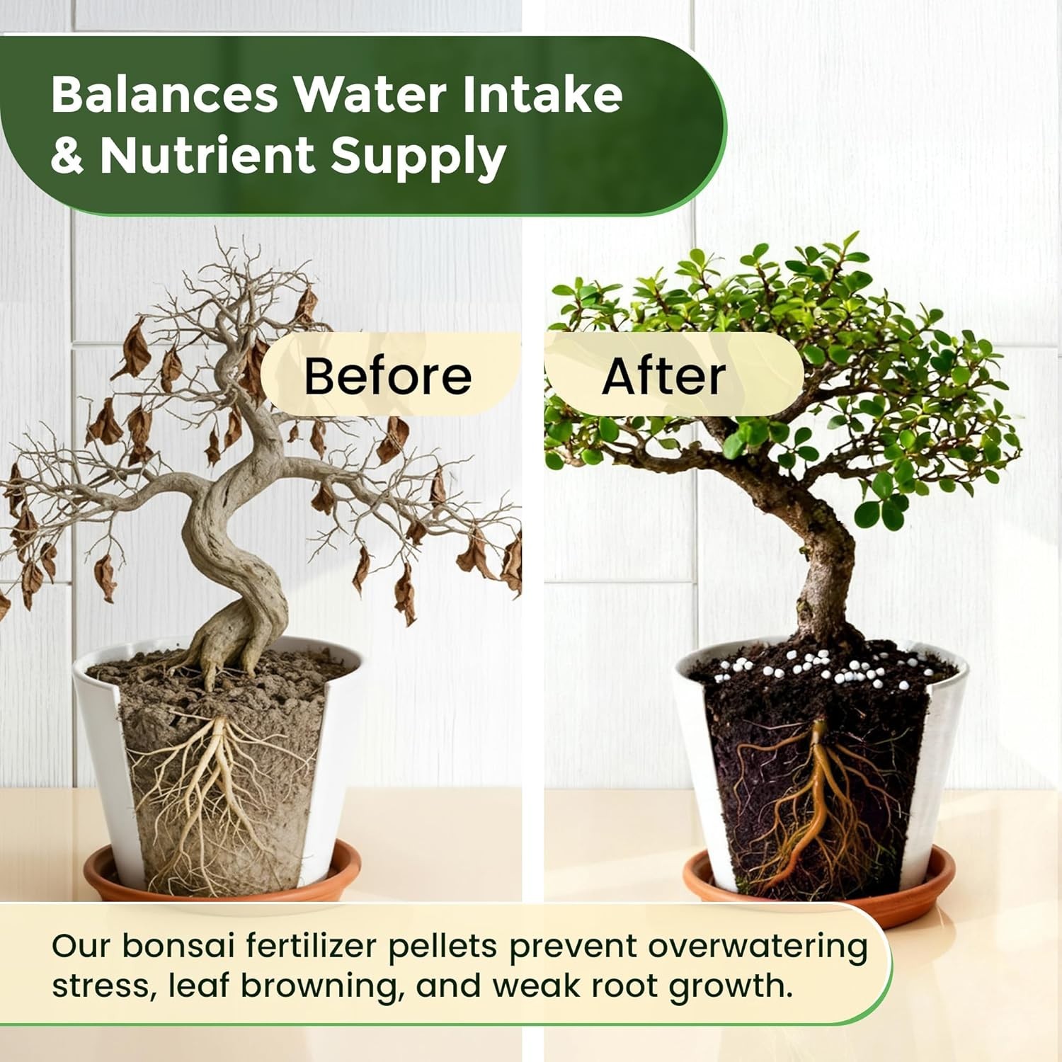 Bonsai Fertilizer Pellets 18-6-8 | Slow Release for All Trees – 5.2 oz