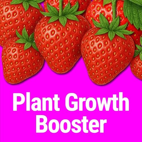 Seedlingers Super Yield Flower & Garden All Purpose Plant Food 32 oz Quart
