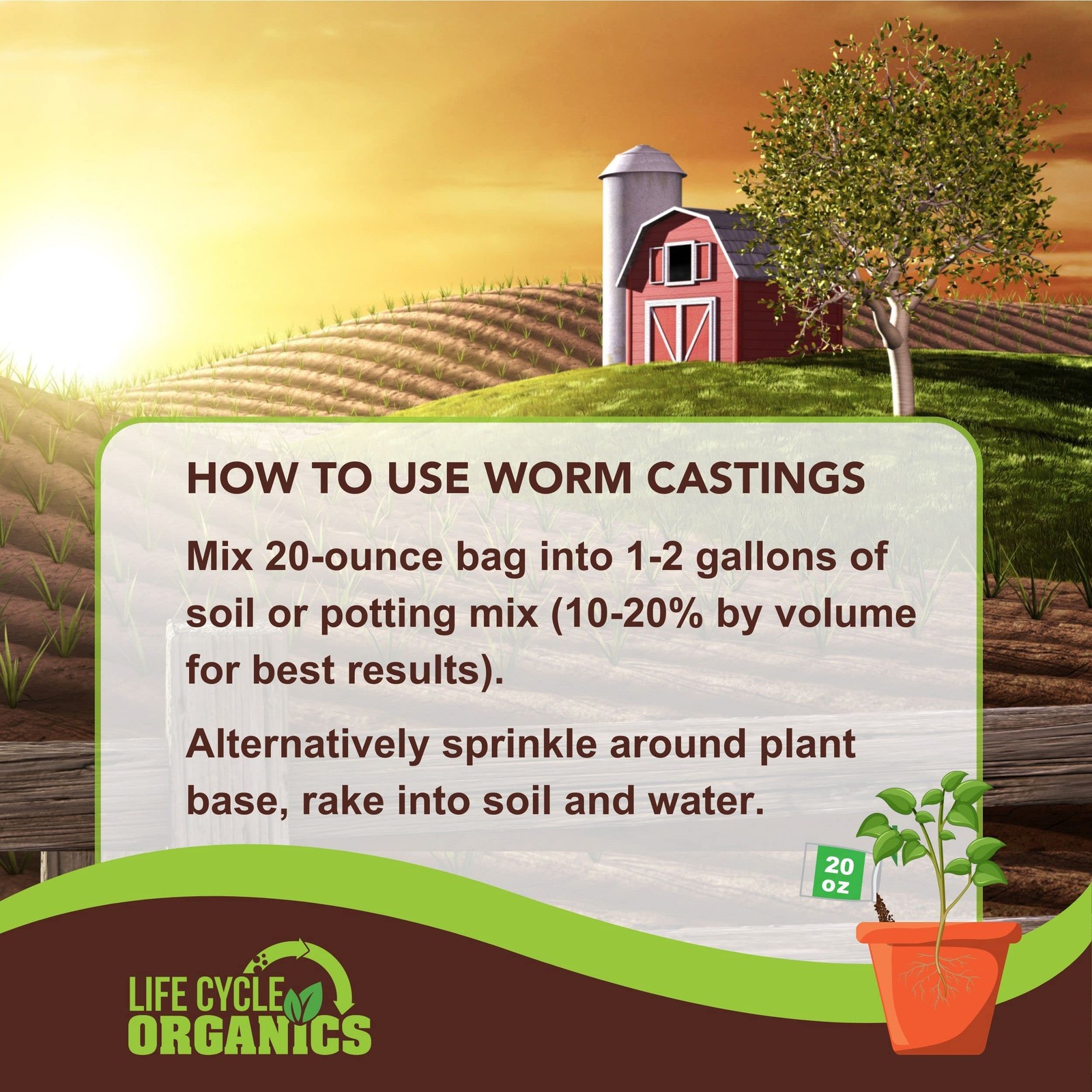 Organic Worm Castings 20 oz Natural Superfood for Healthy Plant Growth