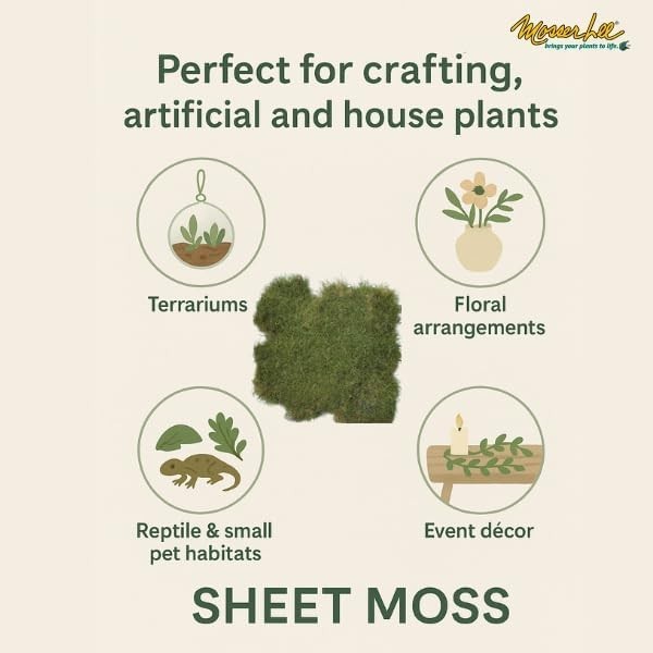 ML0480 Natural Green Sheet Moss – 520 sq. in. – Organic Decorative Moss for T…