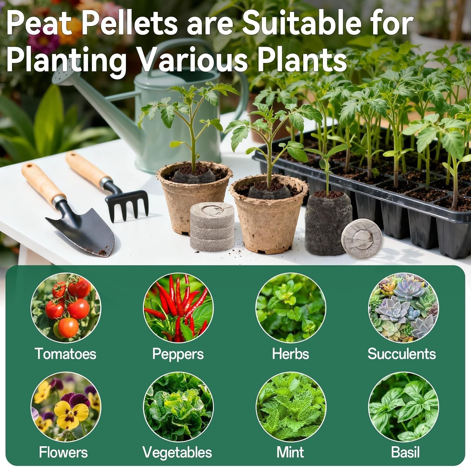 55PCS 30mm Peat Pellets Seed Starter Pods for Flowers Herbs Vegetables Plants