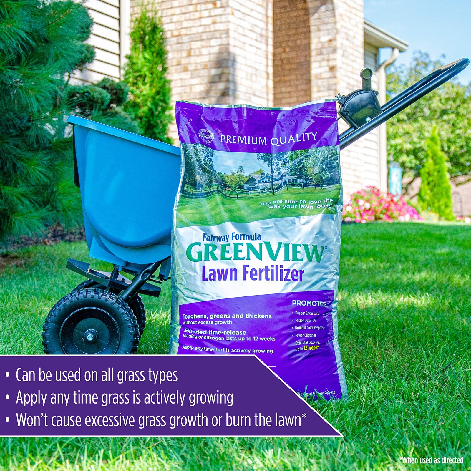GreenView Fairway Formula Lawn Fertilizer 16.5 lb Bag Slow Release Nitrogen F…