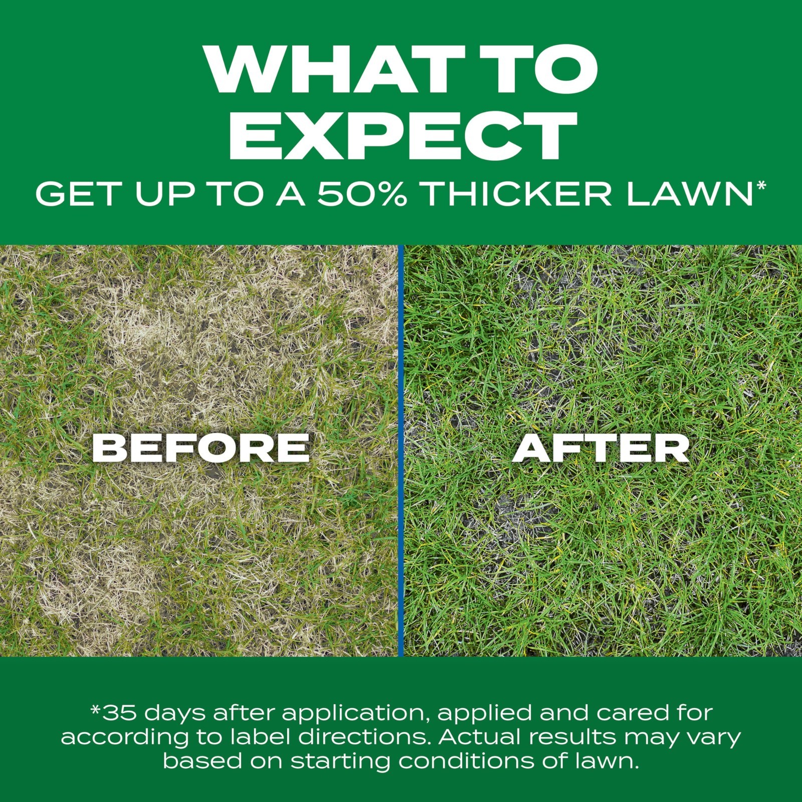 Thick Lawn Seed & Fertilizer Mix for Sun & Shade, 10 lbs – Covers 1,000 sq ft