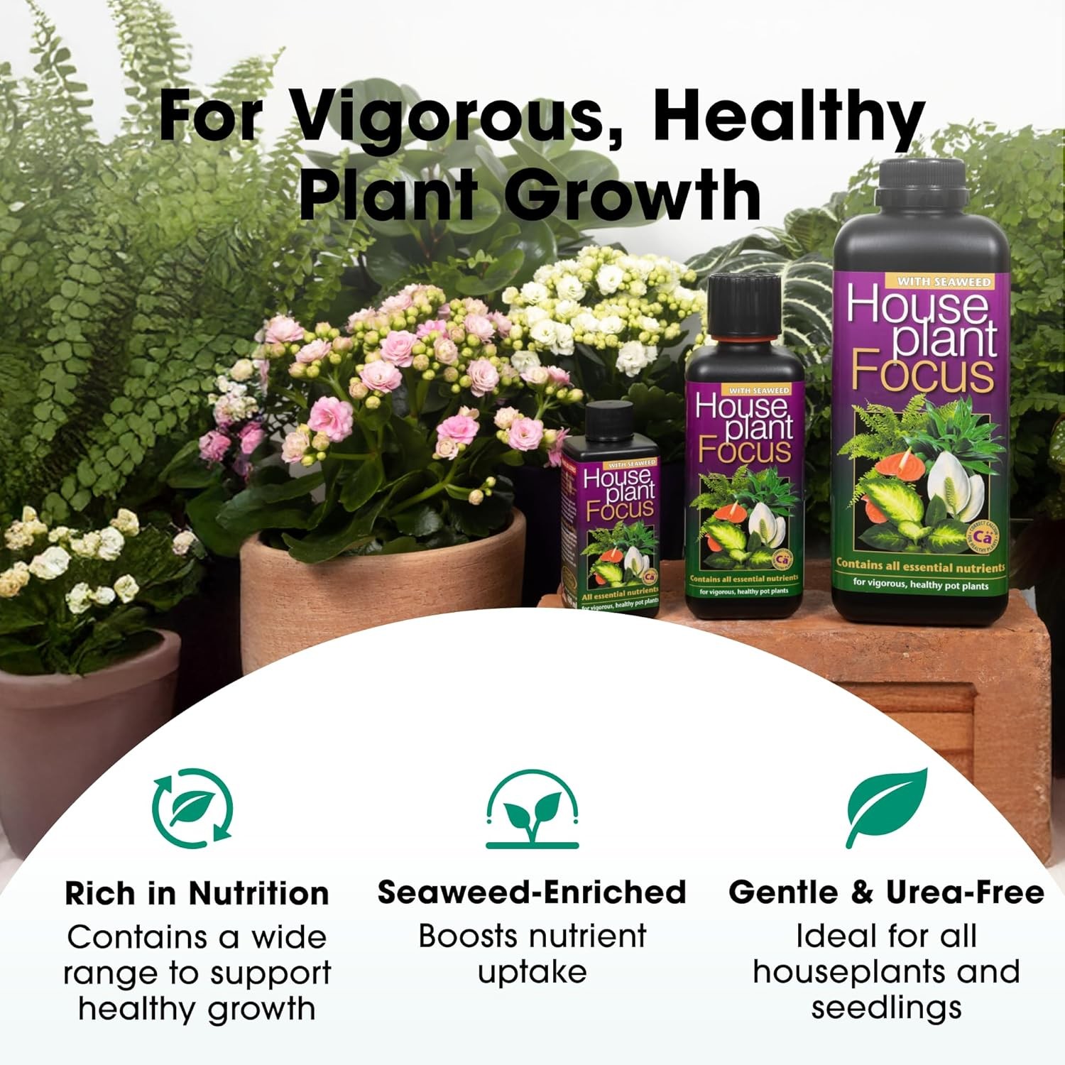 Liquid Fertilizer for Potted Plants Concentrated 100ml Indoor Outdoor Plant Food