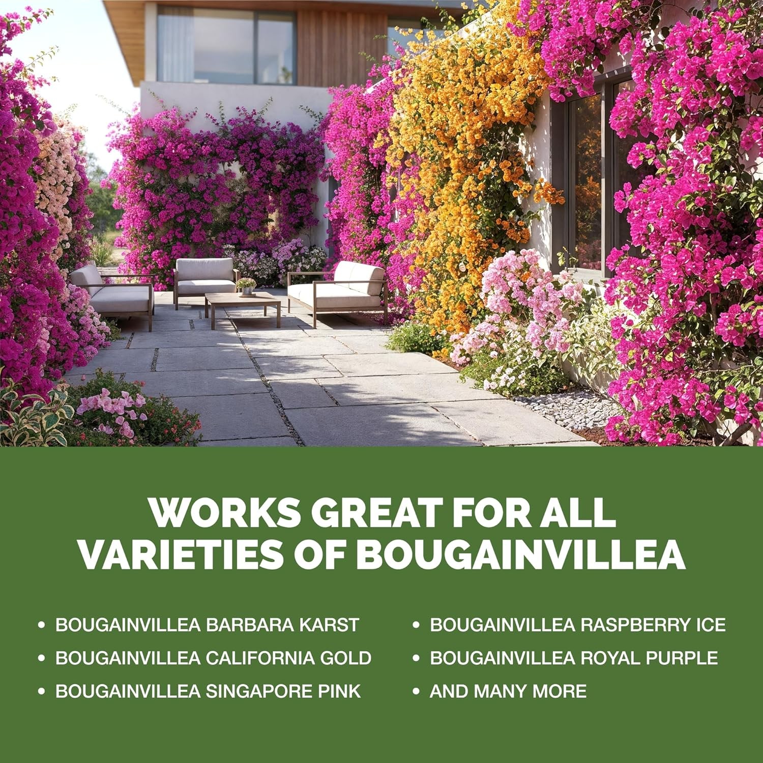 Bougainvillea Fertilizer – Liquid Plant Food More Blooms Brighter Color & Fuller