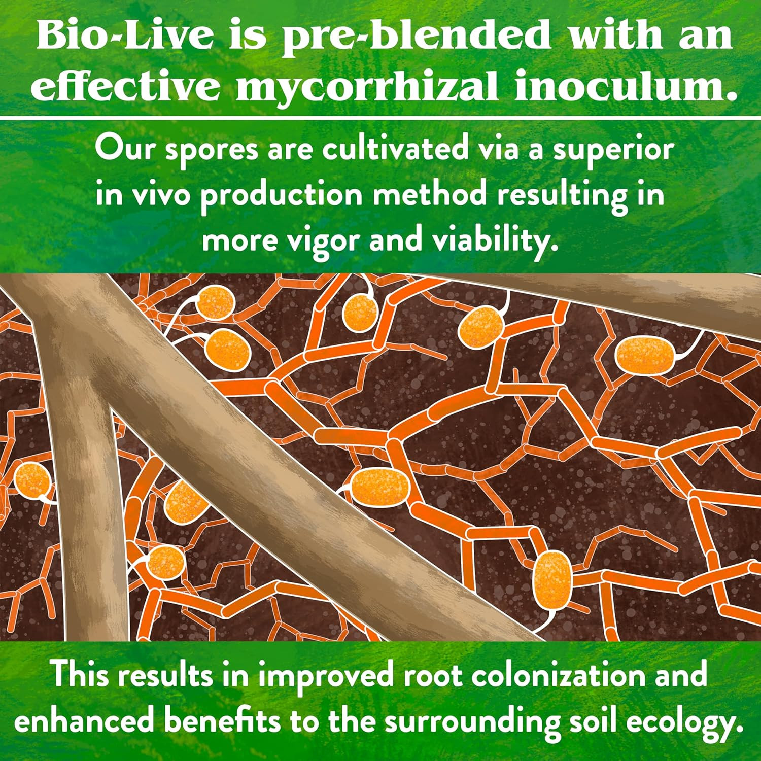 Organic Bio-Live – 5-4-2, 25 Lb | Starter & Transplant Mix with Mycorrhizal Fung