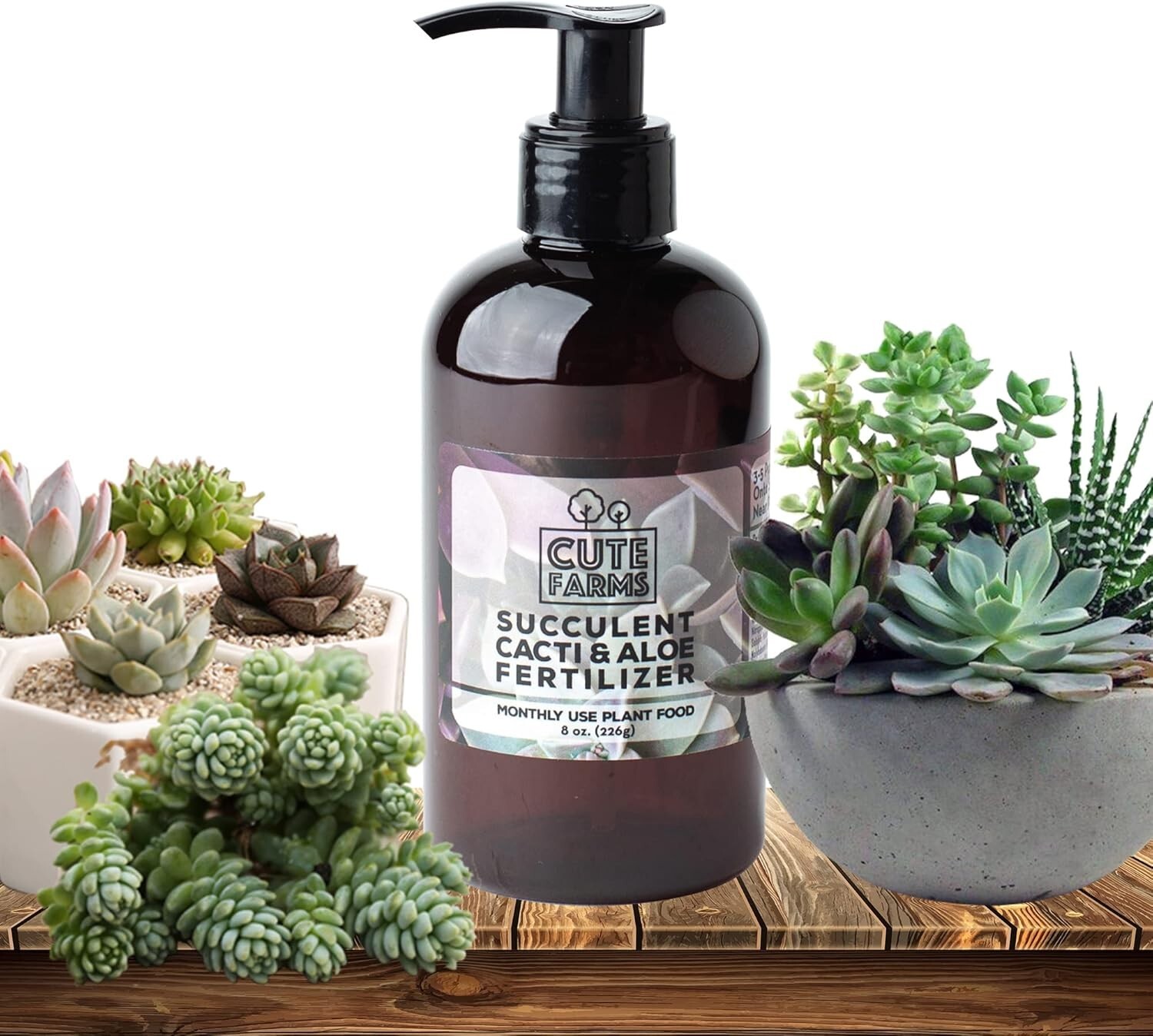 Premium 3-Pack 8 oz Succulent, Cacti & Aloe Plant Food – Locking Dispensing Pump