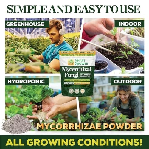 Organic Mycorrhizal Fungi Root Enhancer – 100 Spores/g, 5 Strain Blend, 250g for