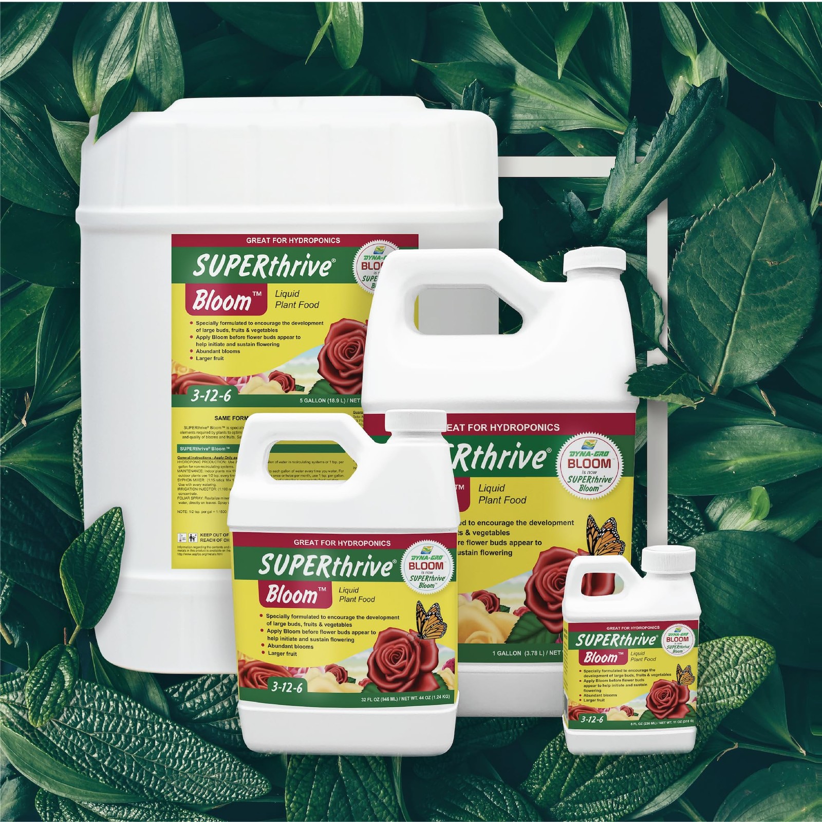 “Bloom Plant Food 3126 for Thriving Gardens 1 Quart Size”
