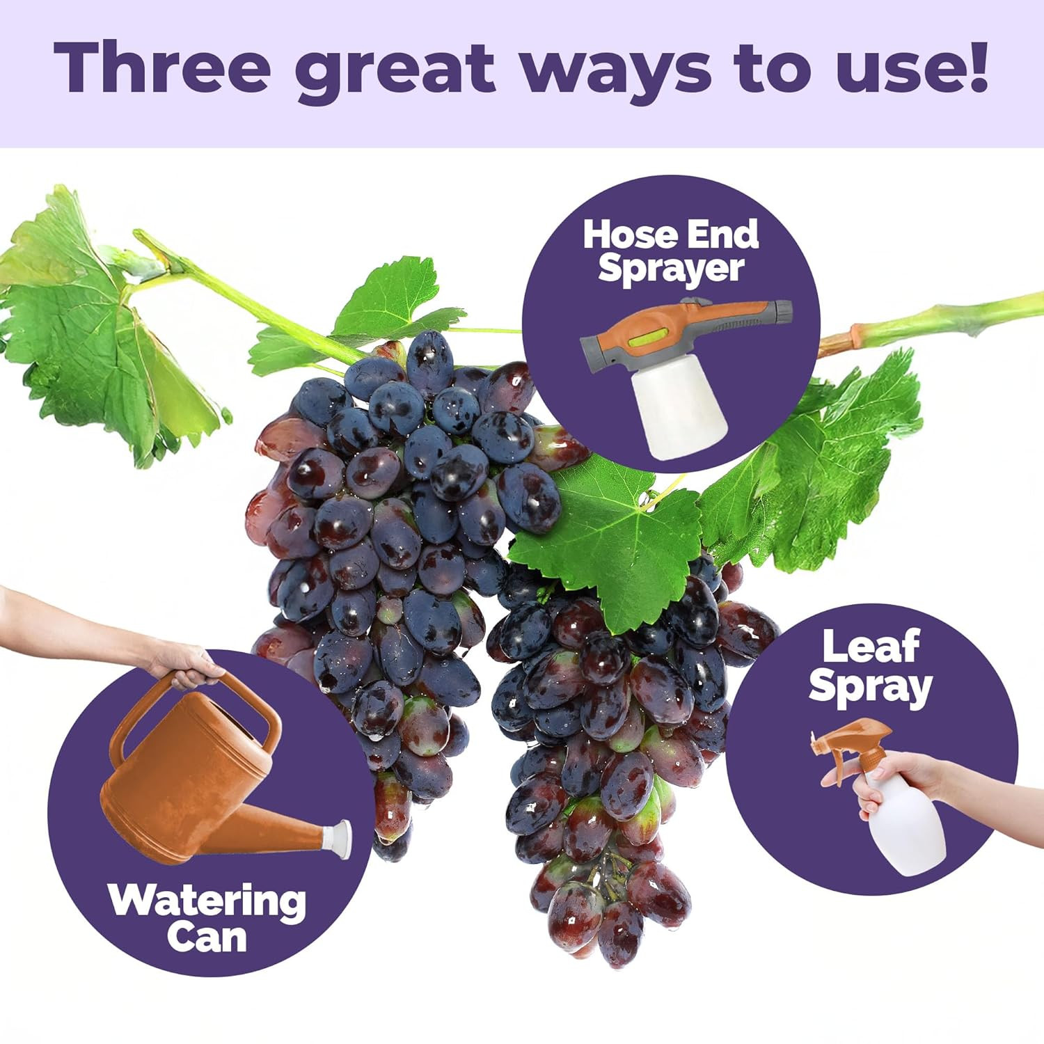 Grape Fertilizer – Liquid Plant Food for Bigger Harvests, Stronger Vines & Bette