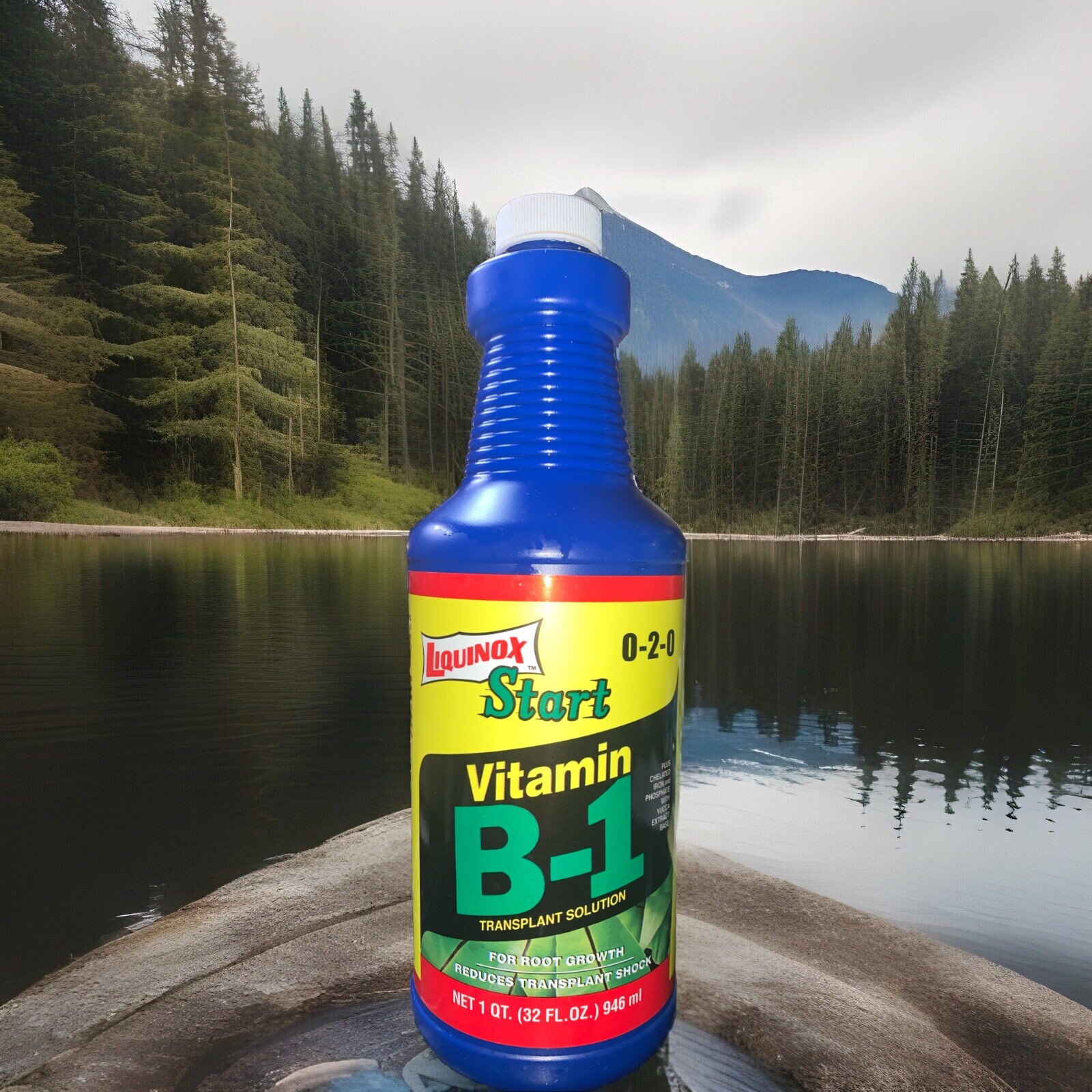 Liquinox Start Vitamin B-1 Transplant solution bottle 32oz