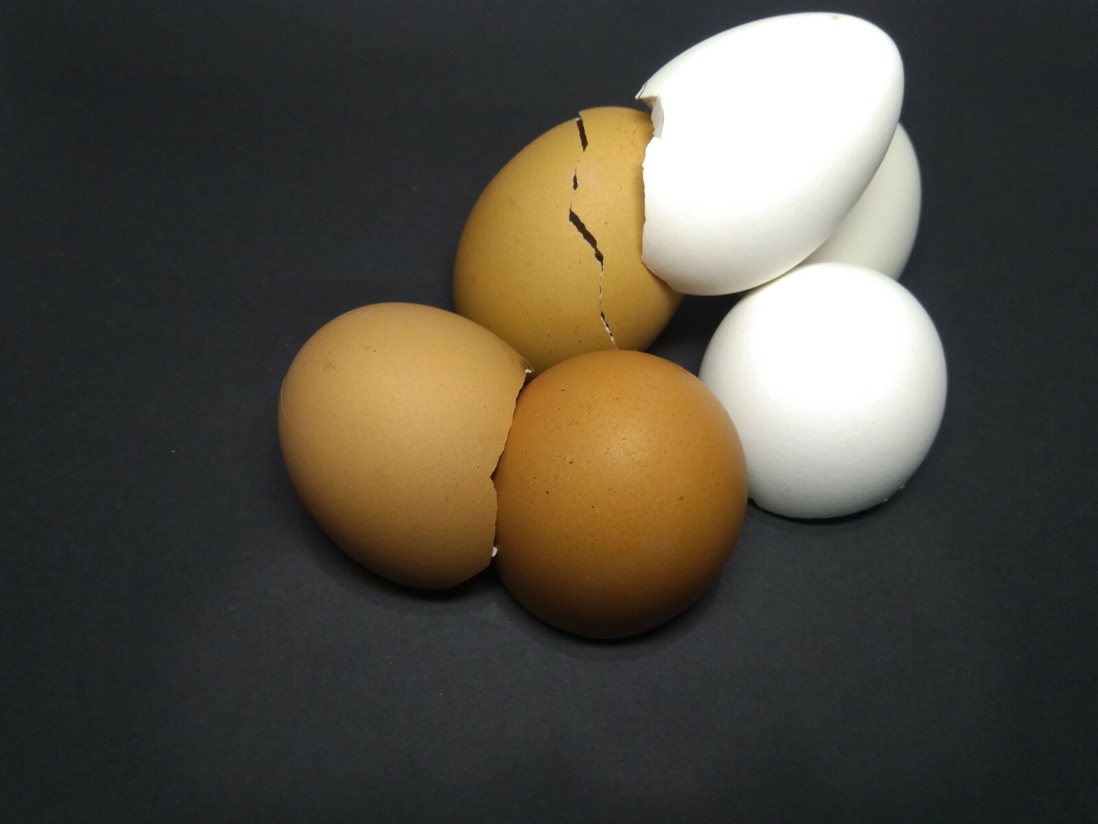 Crushed Eggshells 100% Organic Calcium Fertilizer & Calcium Supplement for Pets