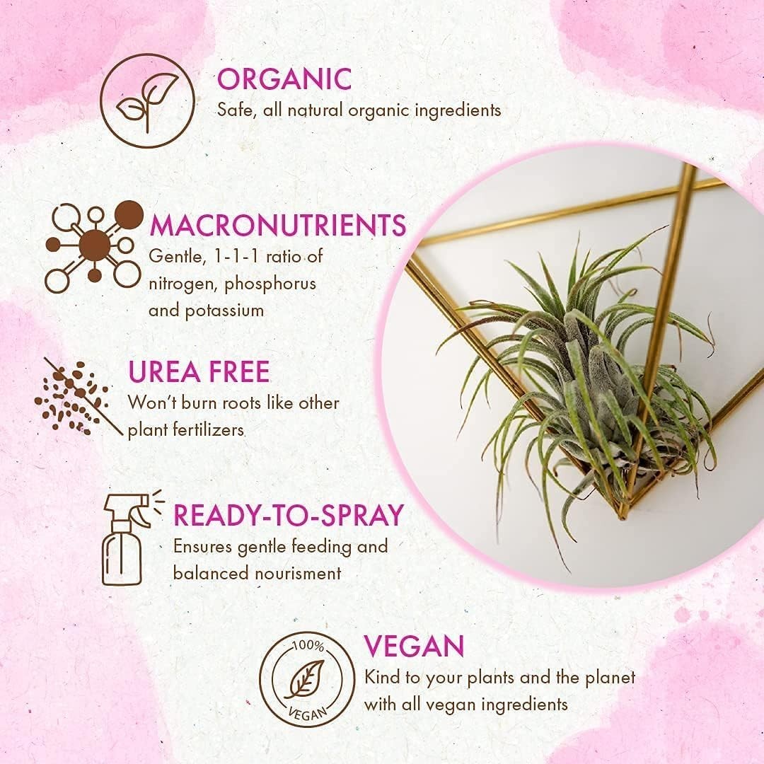 Organic Ready to Spray Air Plant Food – Fertilizer Mist for Weekly Use
