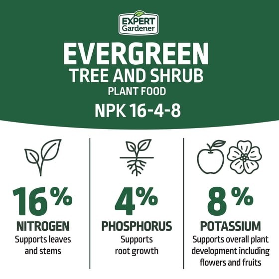 Evergreen Tree and Shrub Fertilizer Plant Food 16-4-8 NPK 4 lb 2 Pack