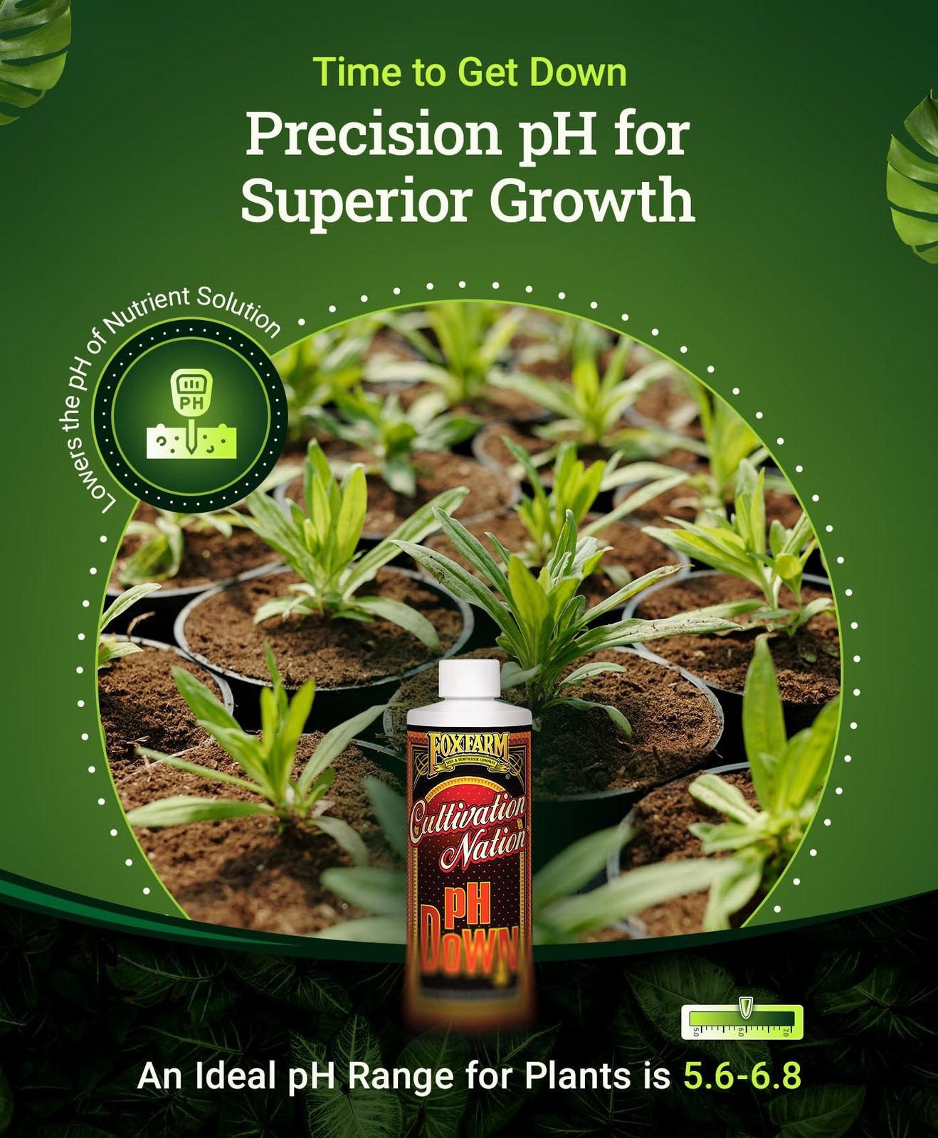 Cultivation Nation pH Down Fertilizer 1 Pint for Plant Growth pH 5.6 to 6.8