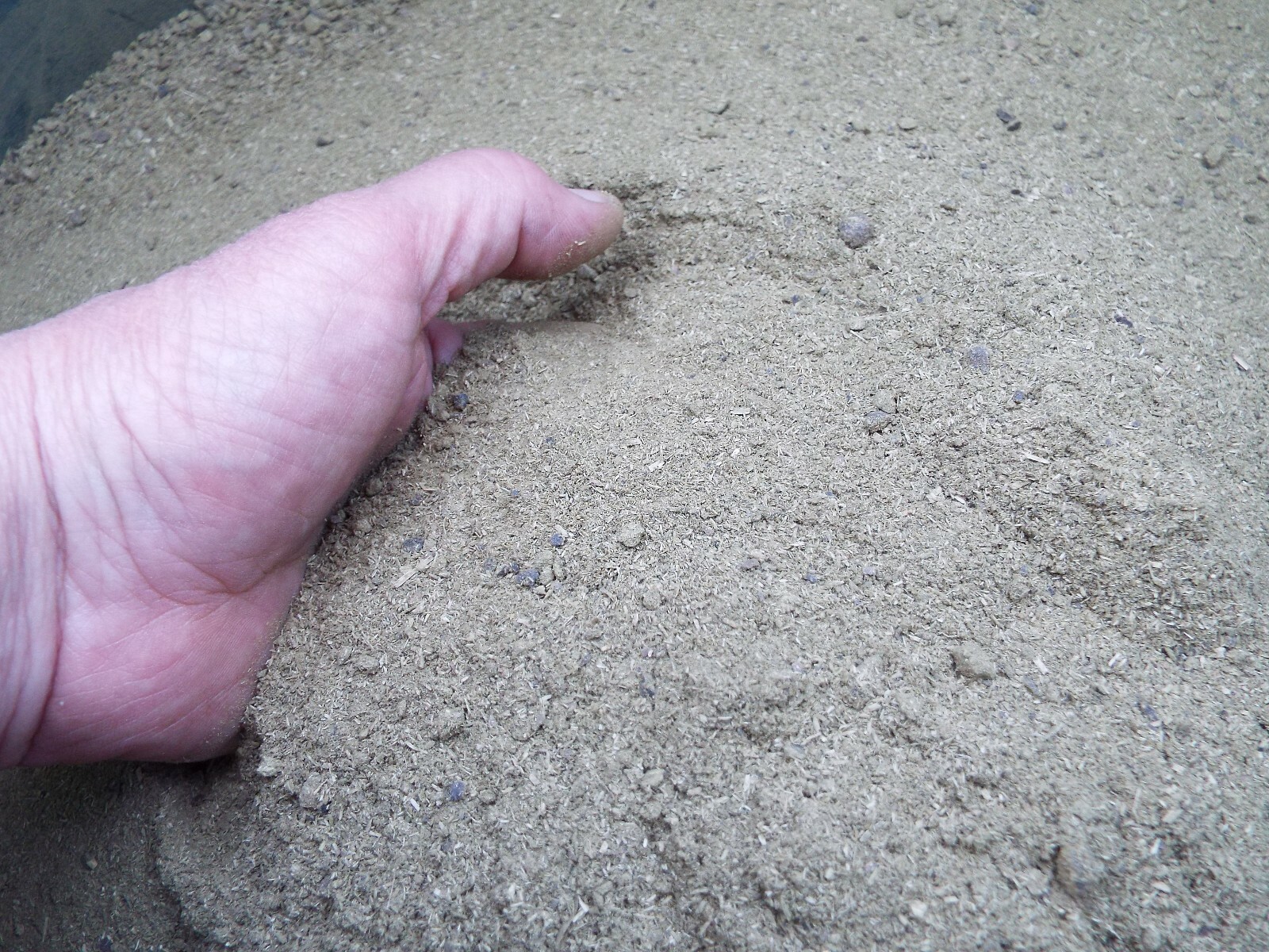 Dried Sheep Manure – ONE POUND (1 lb) – Fine Ground Ready for Use