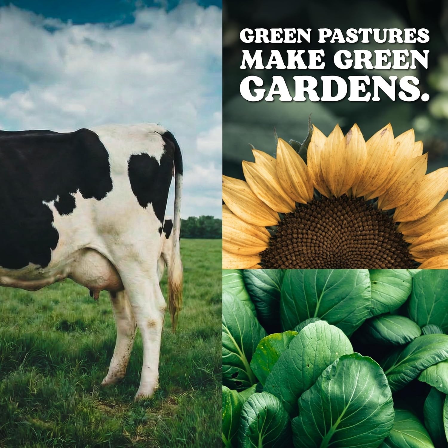 2 Quart Cow Manure Compost – Soil Conditioner for Lush Lawns & Gardens