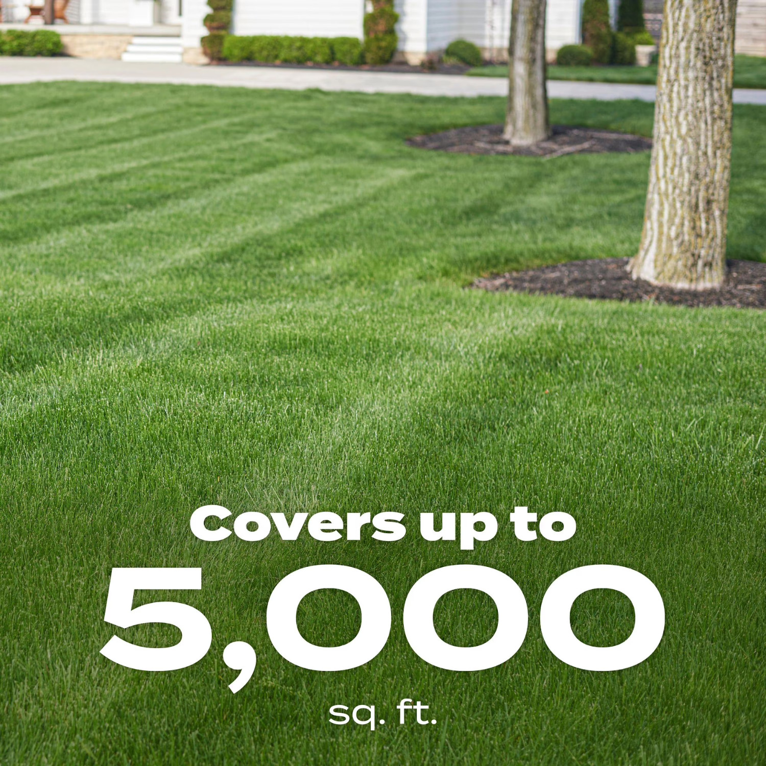 Scotts Green Max Lawn Food, Fertilizer Plus Iron Supplement 5,000sq ft,16.67lbs.