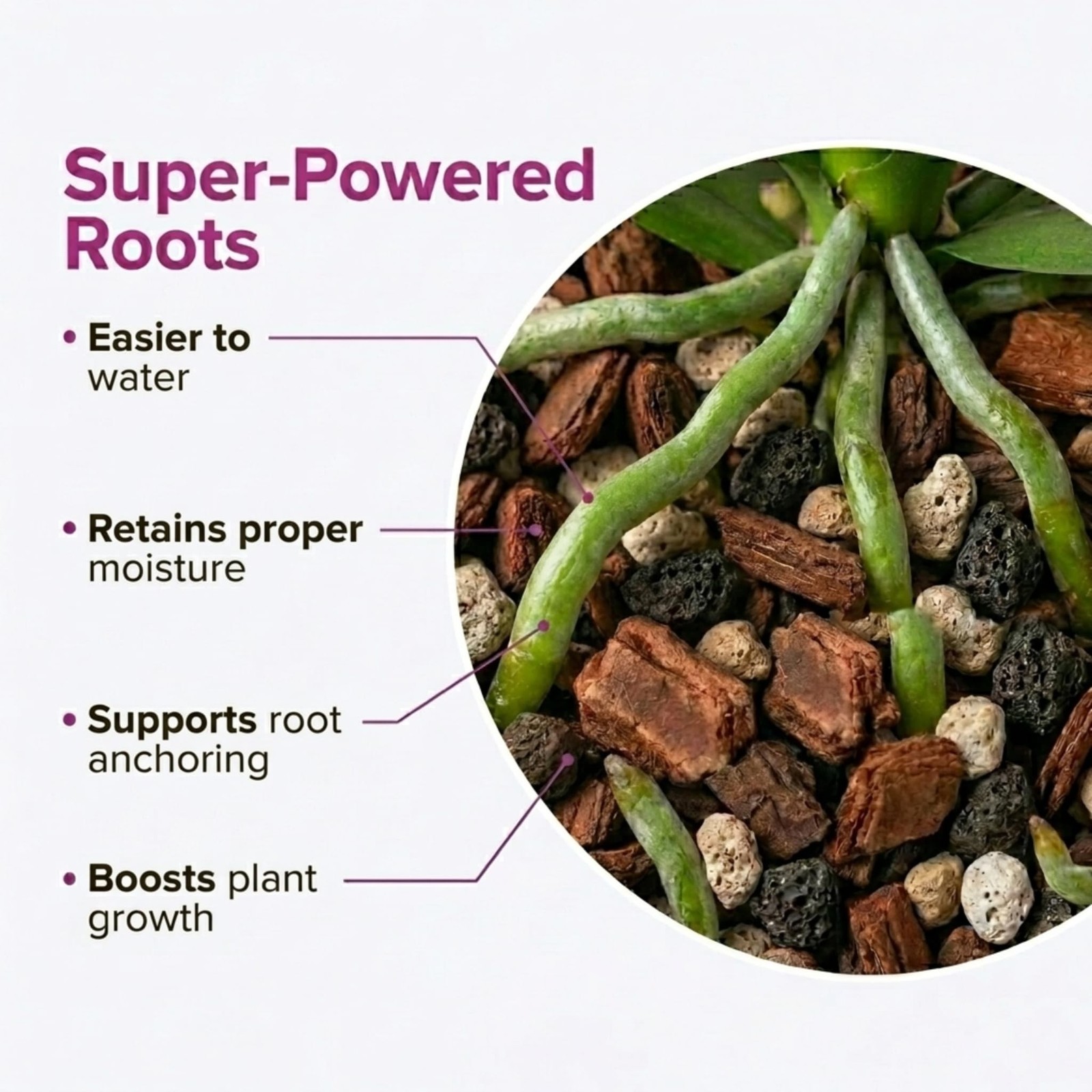 Molly’s Orchid Potting Mix – Premium Gritty Soilless Orchid Mix – Chunky High…