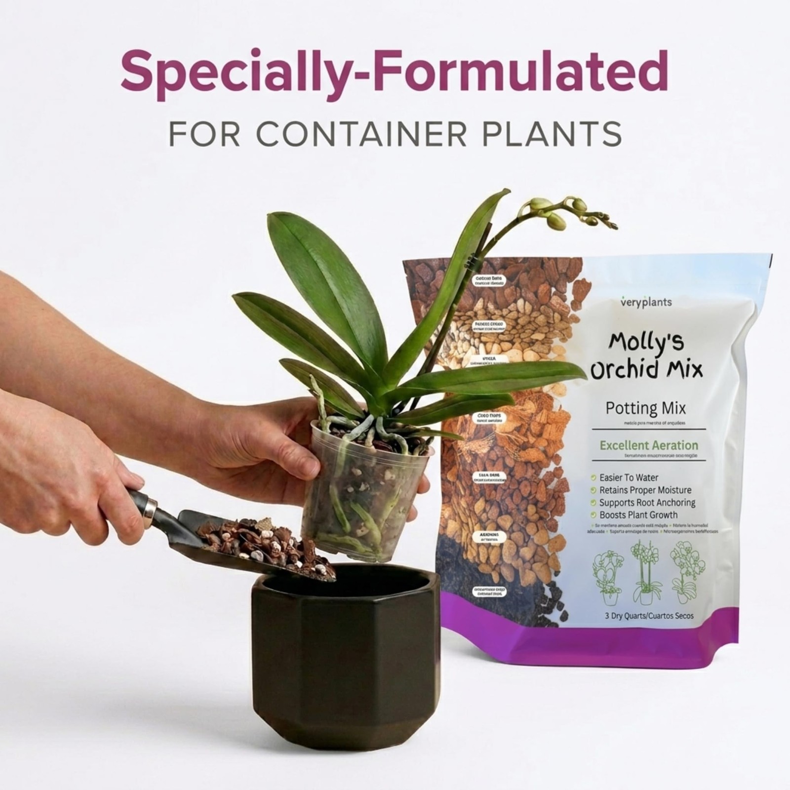 Molly’s Orchid Potting Mix – Premium Gritty Soilless Orchid Mix – Chunky High…